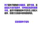 初中生物濟南版（2024）七年級下冊3.2.3  種子萌發(fā)需要適宜的條件 課件