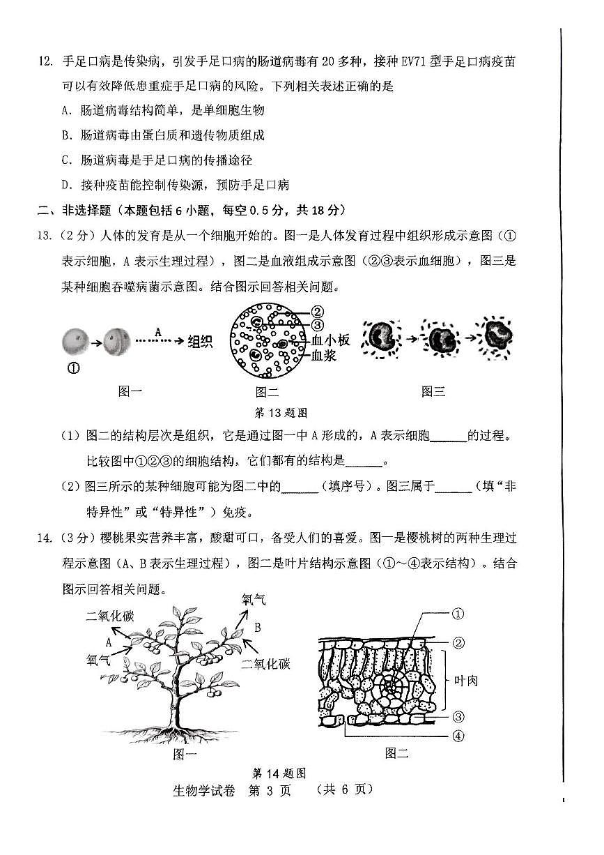 2025年辽宁省丹东市八年级一模生物试题（中考模拟）第3页