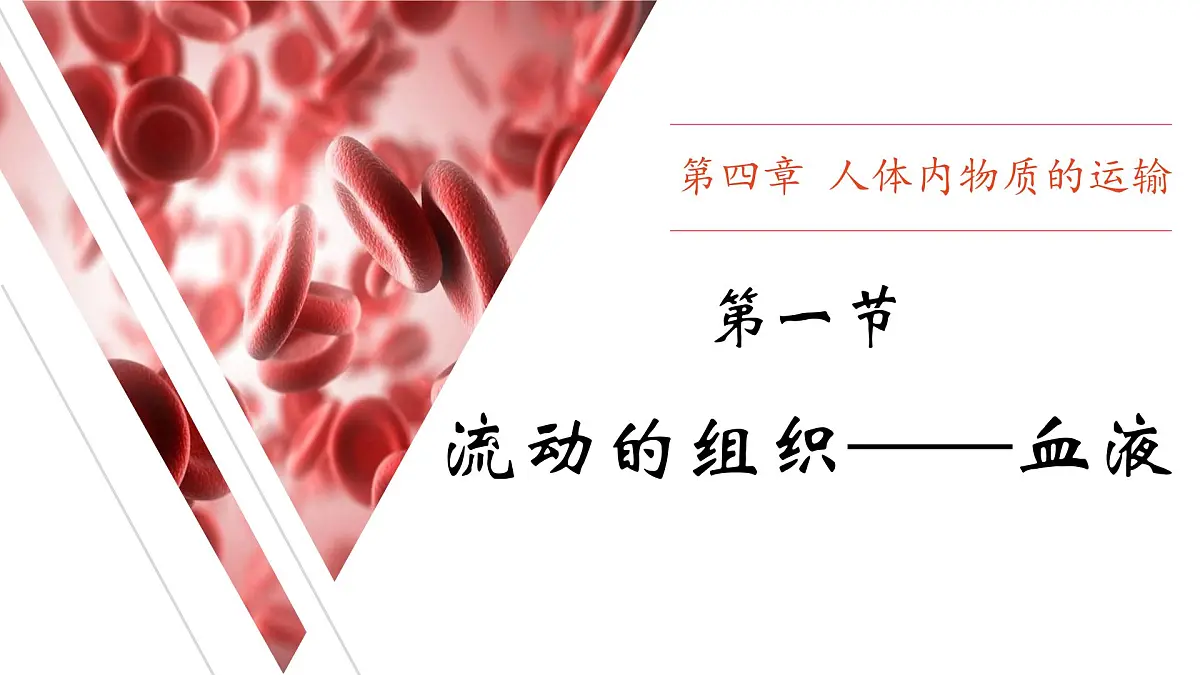 人教版生物七年级生物下册4.4.1《流动的组织——血液》课件第1页