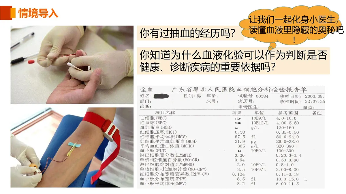 人教版生物七年级生物下册4.4.1《流动的组织——血液》课件第3页