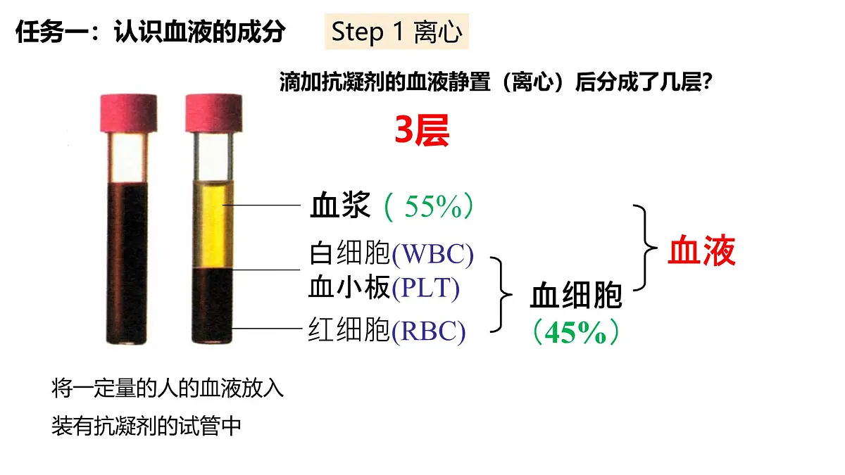 人教版生物七年级生物下册4.4.1《流动的组织——血液》课件第6页