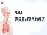 人教版生物七年级下册4.3.1《呼吸道对空气的处理》（课件）