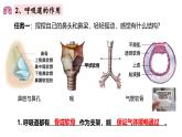 人教版生物七年级下册4.3.1《呼吸道对空气的处理》（课件）
