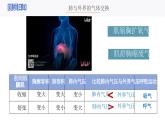 人教版生物七年級(jí)下冊(cè)4.3.2《發(fā)生在肺內(nèi)的氣體交換（第二課時(shí)）課件