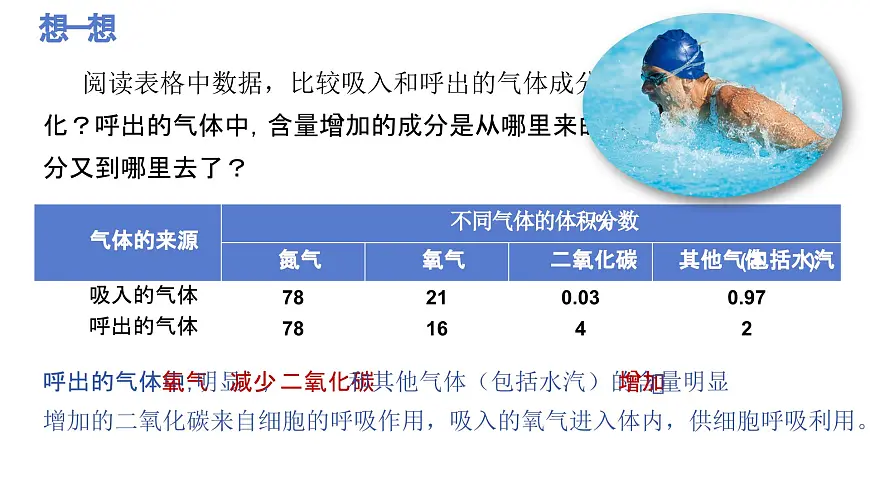 人教版生物七年级下册4.3.2《发生在肺内的气体交换（第二课时）课件第5页