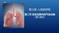 初中生物发生在肺内的气体交换备课课件ppt