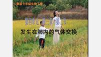 初中生物人教版(2024)七年级下册(2024)发生在肺内的气体交换教学课件ppt