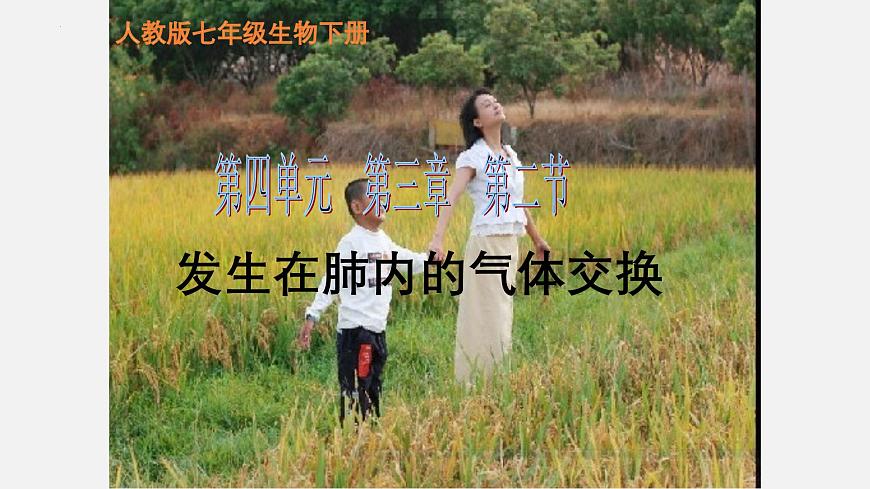 人教版生物七年级下册4.3.2《发生在肺内的气体交换》（教学课件）第1页
