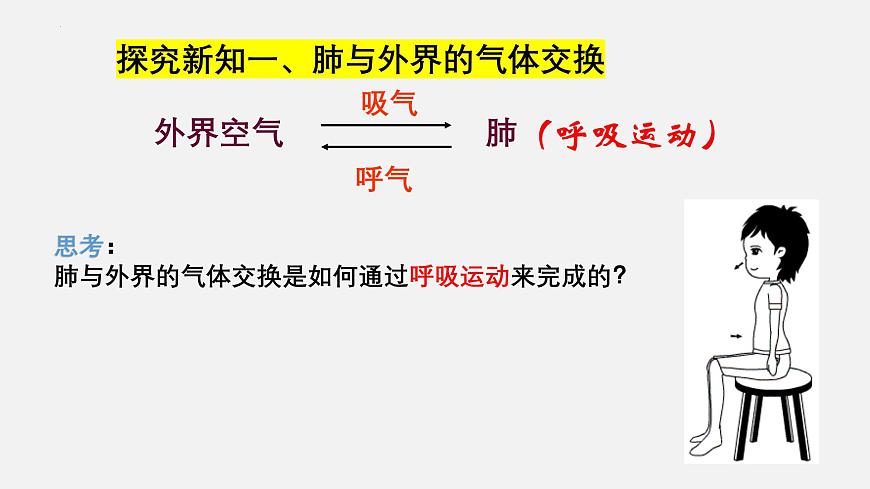 人教版生物七年级下册4.3.2《发生在肺内的气体交换》（教学课件）第5页