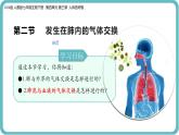 人教版生物七年級(jí)下冊(cè)4.3.2《發(fā)生在肺內(nèi)的氣體交換》課件