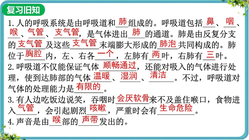 人教版生物七年级下册4.3.2《发生在肺内的气体交换》课件第2页