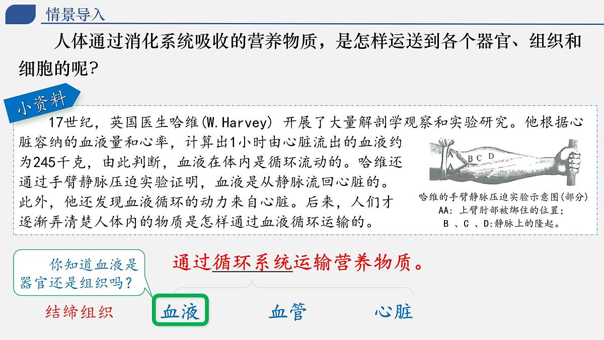 人教版生物七年级下册4.4.1《流动的组织——血液》（上课课件）第1页