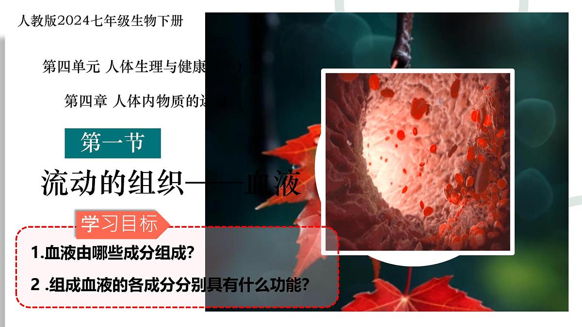 人教版生物七年级下册4.4.1《流动的组织——血液》课件第2页