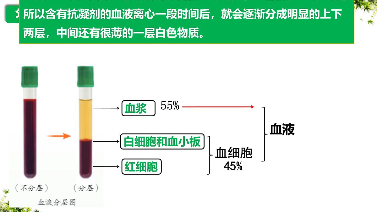 人教版生物七年级下册4.4.1《流动的组织——血液》课件第4页