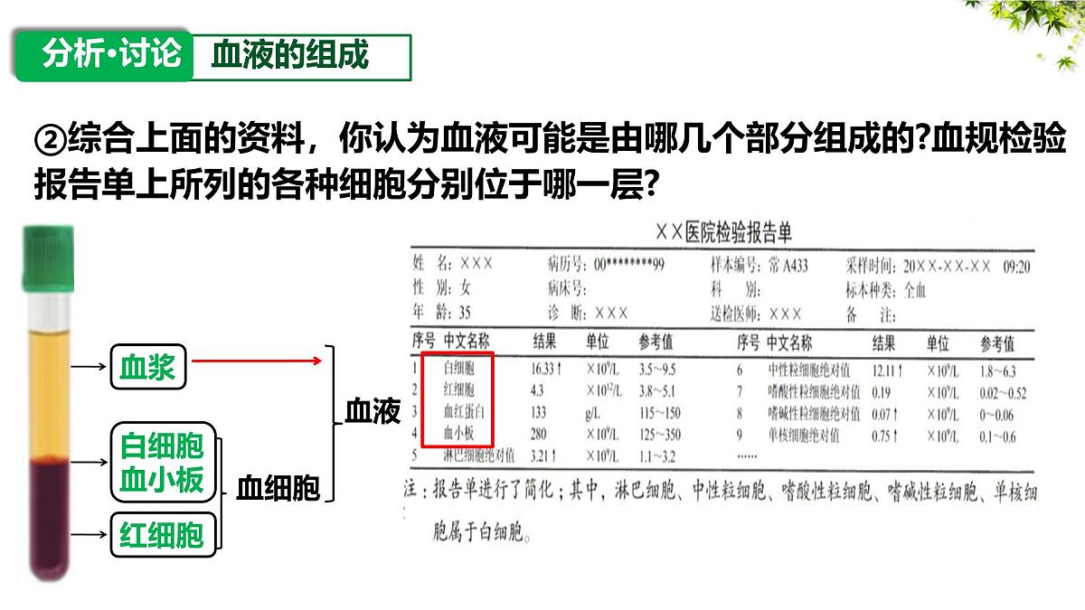 人教版生物七年级下册4.4.1《流动的组织——血液》课件第5页