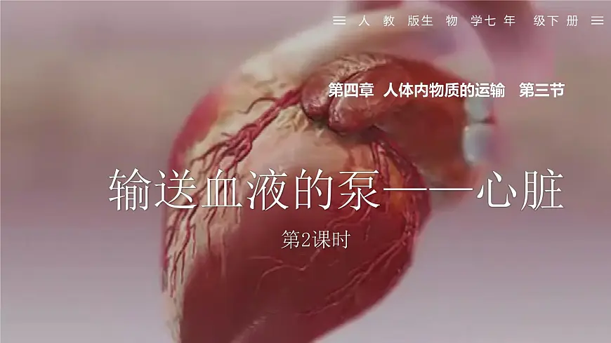 人教版生物七年级下册4.4.3《输送血液的泵——心脏》（第2课时）课件第1页