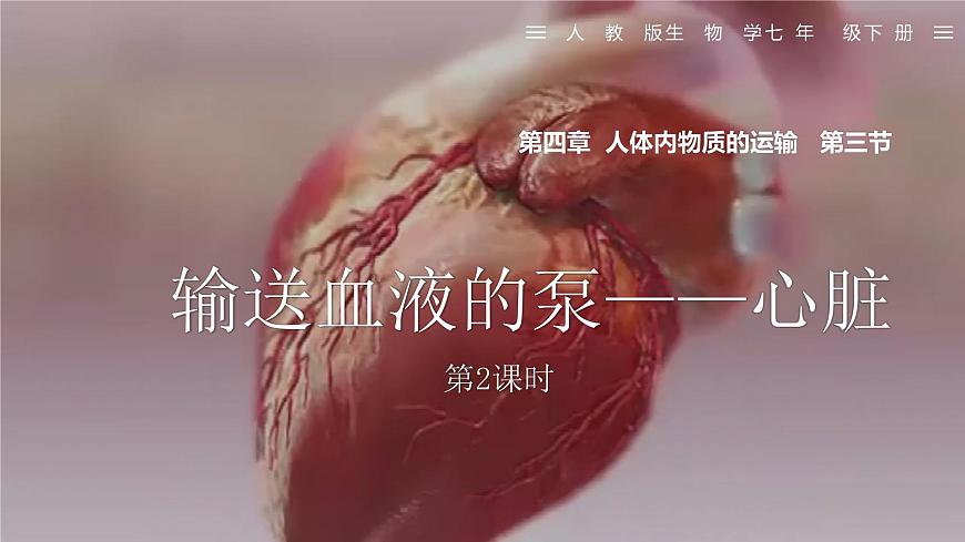人教版生物七年级下册4.4.3《输送血液的泵——心脏》（第2课时）课件第1页