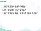 初中生物濟南版（2024）七年級下冊3.2.4  芽是未發(fā)育的枝條或花 課件