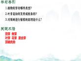 初中生物濟南版（2024）七年級下冊3.2.4  芽是未發(fā)育的枝條或花 課件