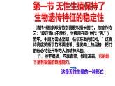 初中生物濟南版（2024）七年級下冊4.1.1  無性生殖保持了生物遺傳特征的穩(wěn)定 課件