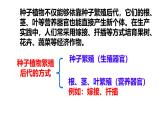 初中生物濟南版（2024）七年級下冊4.1.1  無性生殖保持了生物遺傳特征的穩(wěn)定 課件