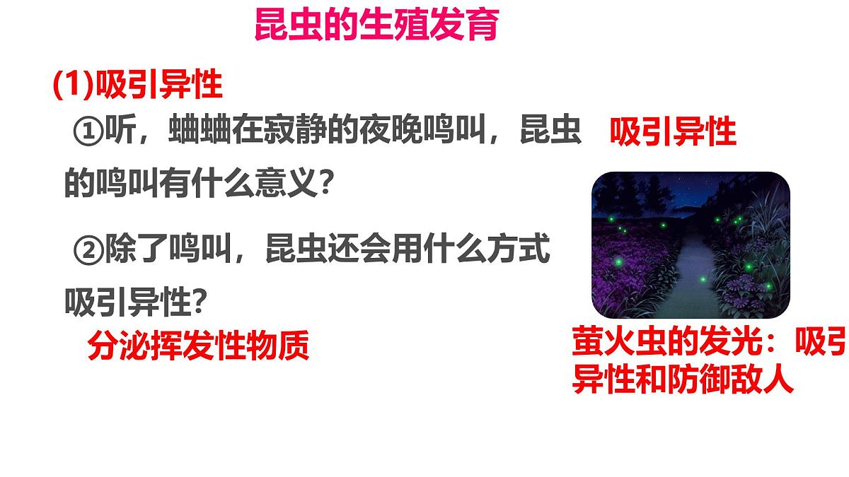 初中生物济南版（2024）七年级下册4.1.2 有性生殖增加了后代的多样性第一课时 课件第3页