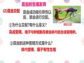 初中生物濟(jì)南版（2024）七年級(jí)下冊(cè)4.1.2  有性生殖增加了后代的多樣性第一課時(shí) 課件