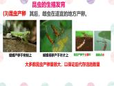 初中生物濟(jì)南版（2024）七年級(jí)下冊(cè)4.1.2  有性生殖增加了后代的多樣性第一課時(shí) 課件
