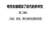 初中生物濟(jì)南版（2024）七年級(jí)下冊(cè)4.1.2  有性生殖增加了后代的多樣性第二課時(shí) 課件