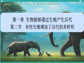 初中生物濟南版（2024）七年級下冊4.1.2  有性生殖增加了后代的多樣性 課件
