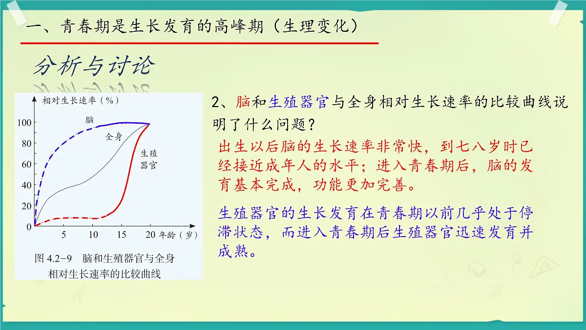 初中生物济南版（2024）七年级下册4.2.2 人在青春期出现显著变化 课件第5页