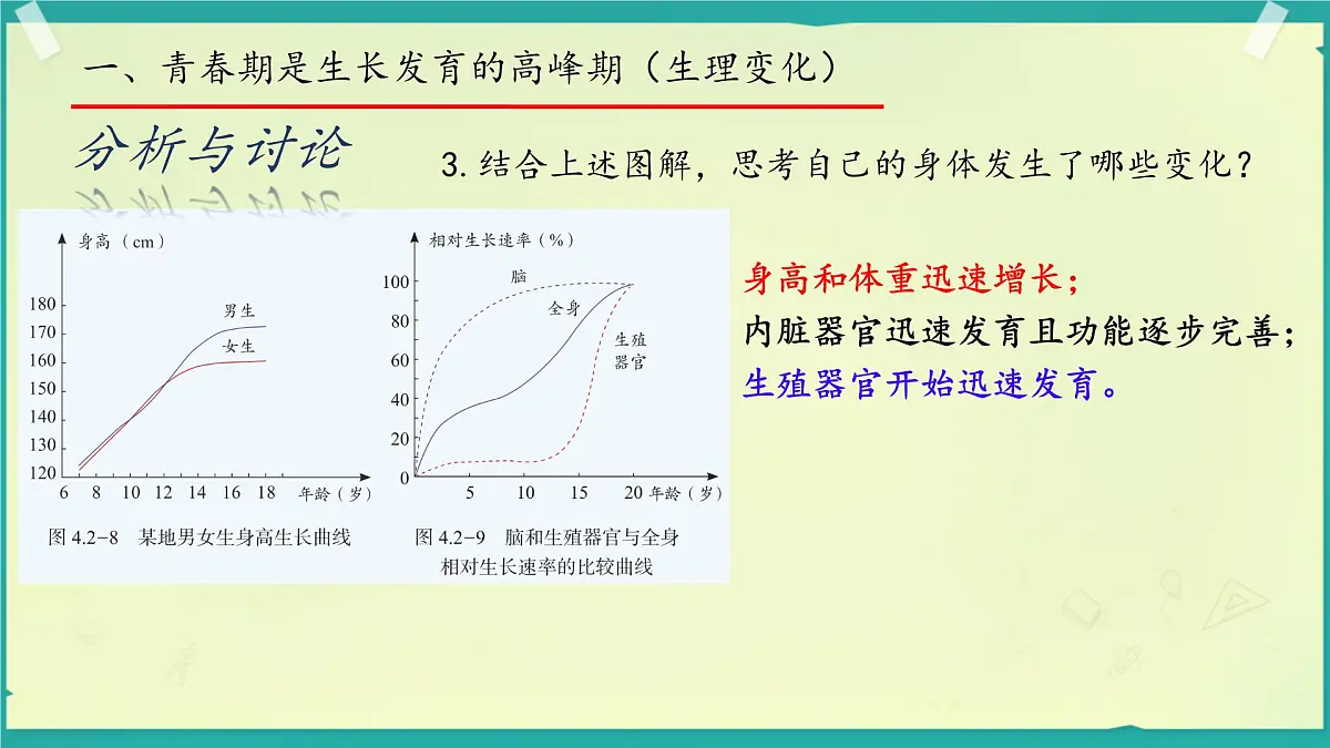 初中生物济南版（2024）七年级下册4.2.2 人在青春期出现显著变化 课件第6页