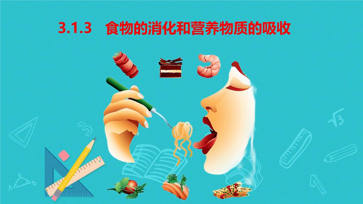 初中生物冀少版（2024）七年级下册3.1.3 食物的消化和营养物质的吸收 课件第1页