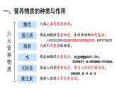 初中生物冀少版（2024）七年級(jí)下冊(cè)3.1.2 人體生命活動(dòng)需要的營(yíng)養(yǎng)物質(zhì) 課件