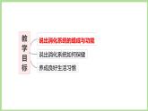 初中生物冀少版（2024）七年級下冊3.1.1 消化系統(tǒng)的組成 課件
