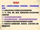 初中生物冀少版（2024）七年級下冊3.1消化系統(tǒng)與營養(yǎng)攝取 課件