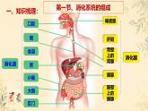初中生物冀少版（2024）七年級下冊3.1消化系統(tǒng)與營養(yǎng)攝取 課件