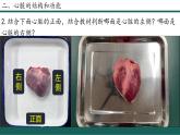 人教版生物七年级下册4.4.3《输送血液的泵—心脏》（第1课时）课件