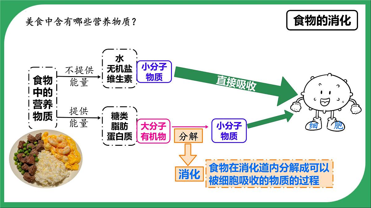 人教版生物七年级下册4.2.2《消化和吸收》课件第2页