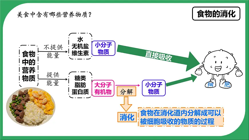 人教版生物七年级下册4.2.2《消化和吸收》课件第2页