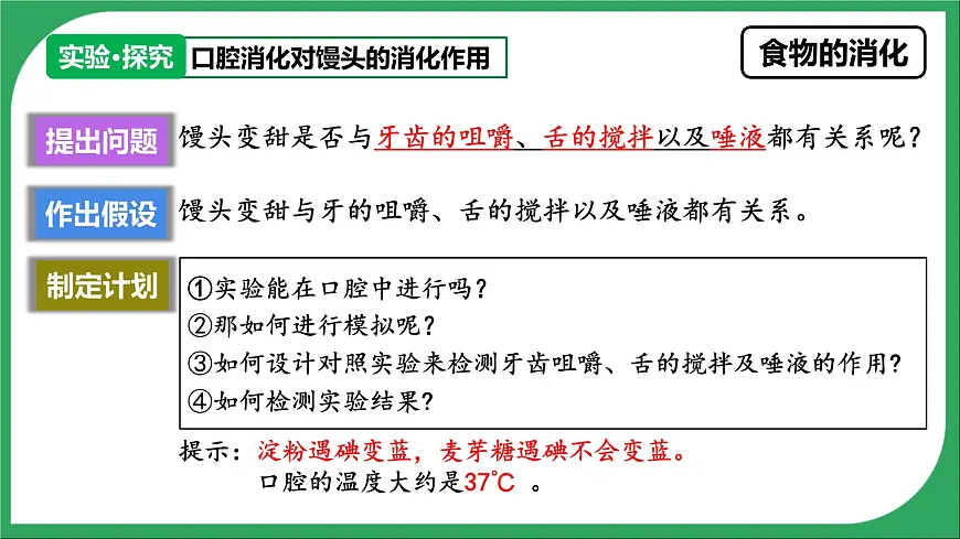 人教版生物七年级下册4.2.2《消化和吸收》课件第6页