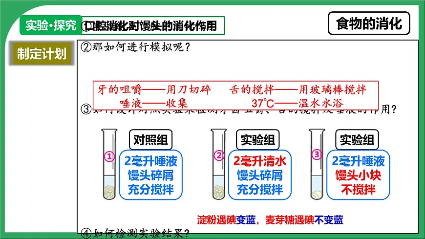 人教版生物七年级下册4.2.2《消化和吸收》课件第7页