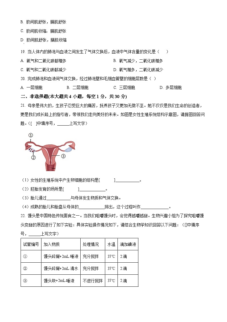 黑龙江省齐齐哈尔市龙江县部分学校联考2023-2024学年七年级下学期第一次月考生物试题（原卷版+解析版）第3页