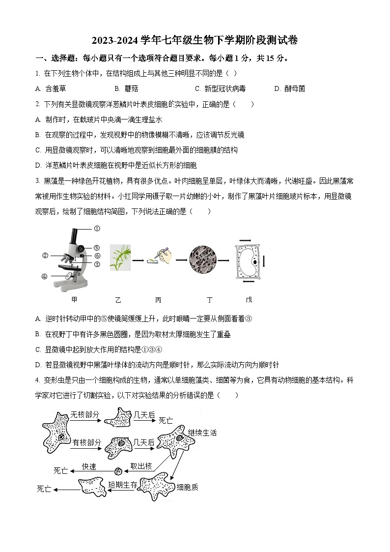 江省南通市海安市13校联考2023-2024年七年级下学期3月月考生物试题（原卷版+解析版）第1页