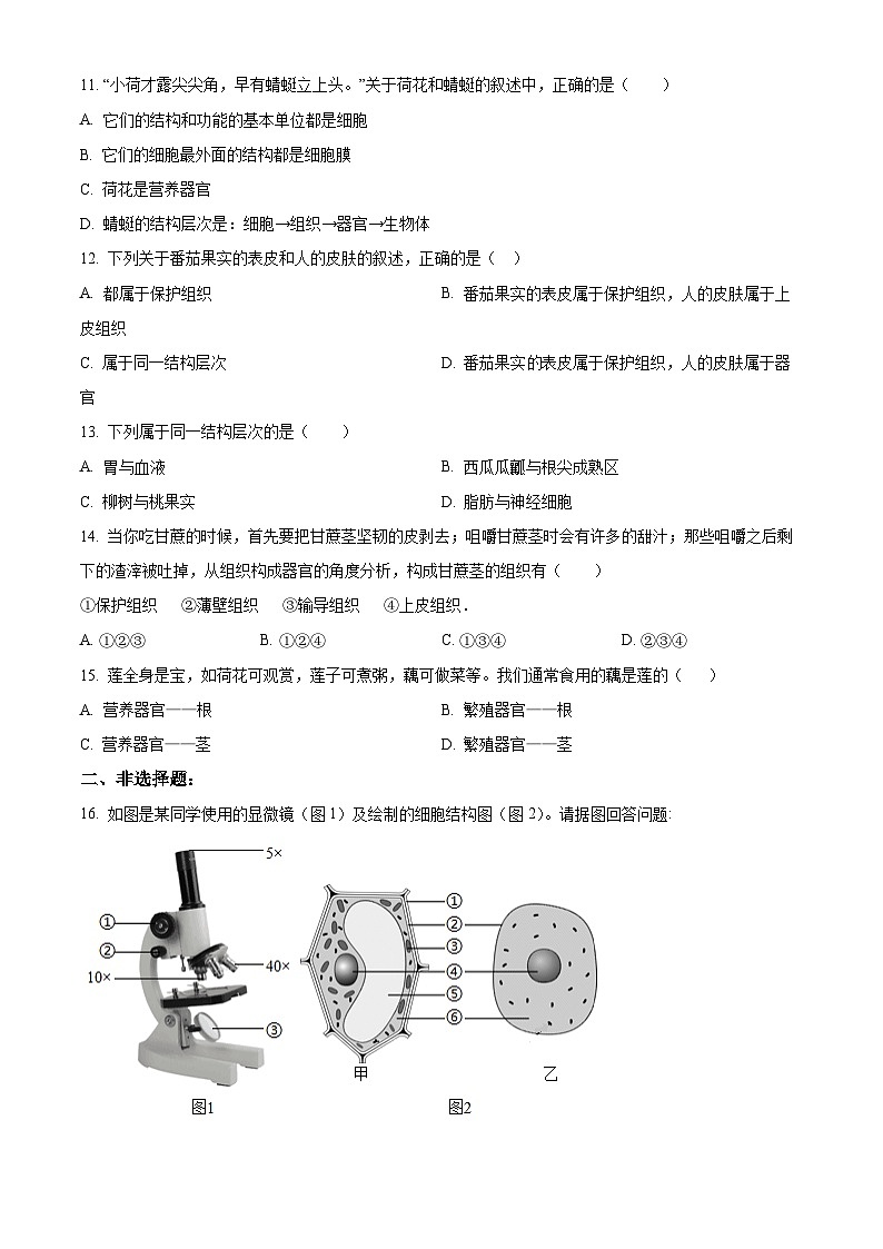 江省南通市海安市13校联考2023-2024年七年级下学期3月月考生物试题（原卷版+解析版）第3页