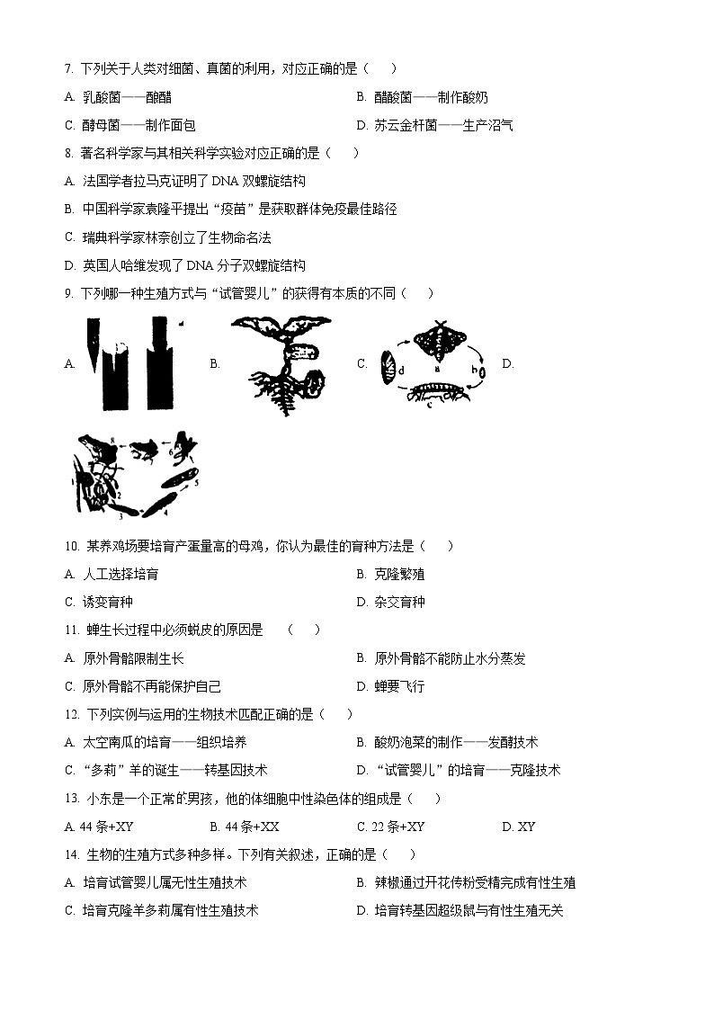 江苏省淮安市洪泽区2024-2025学年八年级下学期3月月考生物试题（原卷版+解析版）第2页