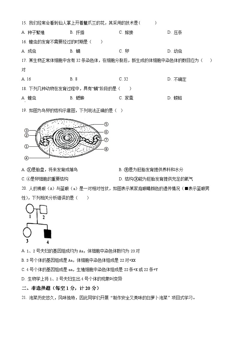 江苏省淮安市洪泽区2024-2025学年八年级下学期3月月考生物试题（原卷版+解析版）第3页