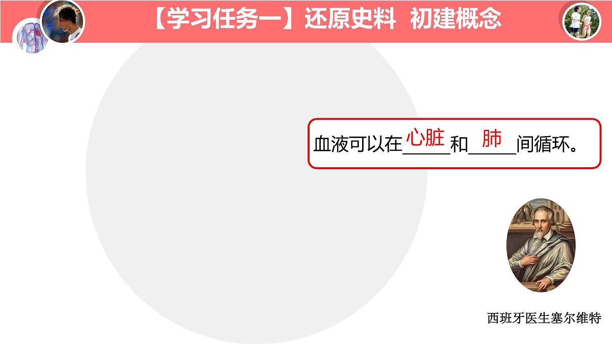 初中生物冀少版（2024）七年级下册3.2.2 血液循环的途径和功能 课件第6页