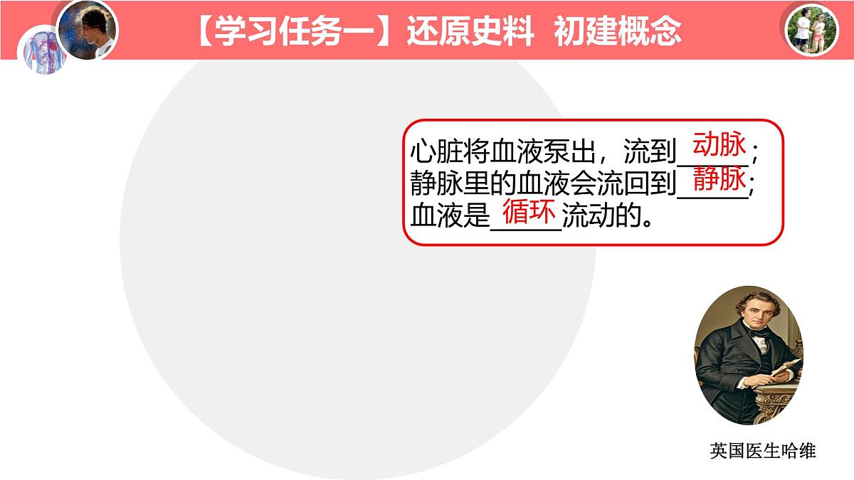 初中生物冀少版（2024）七年级下册3.2.2 血液循环的途径和功能 课件第7页