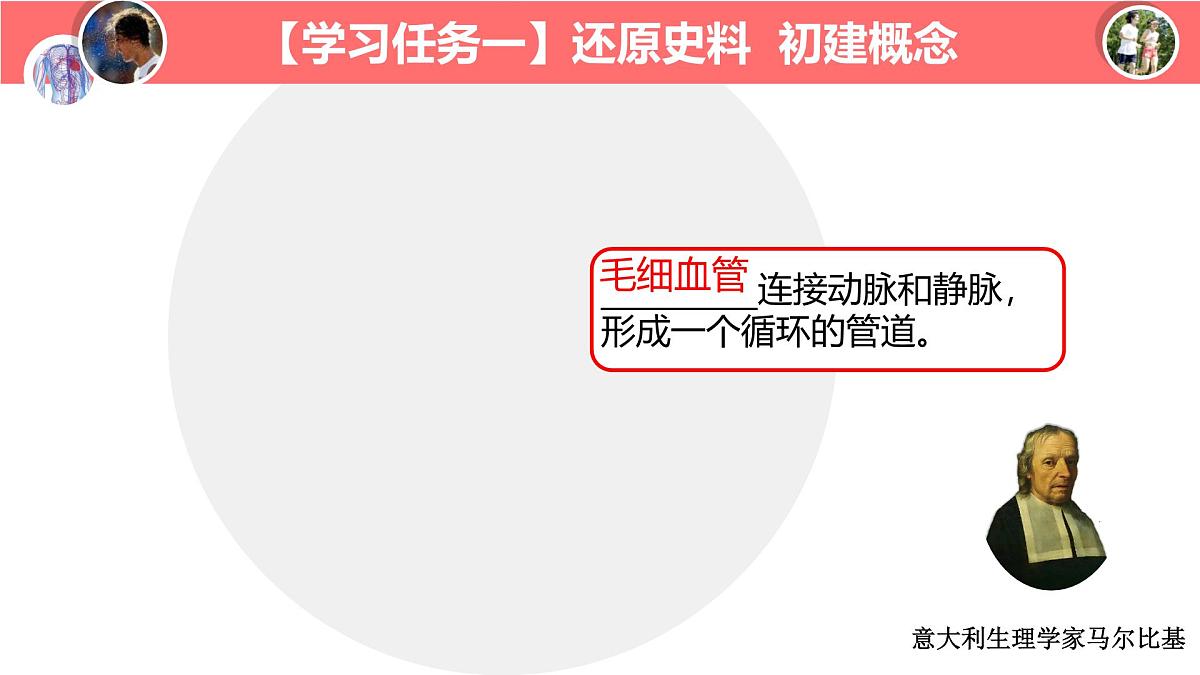 初中生物冀少版（2024）七年级下册3.2.2 血液循环的途径和功能 课件第8页